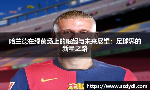 星空体育平台app