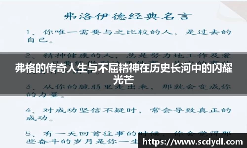 星空体育平台app