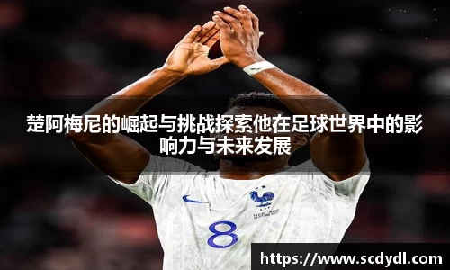 星空体育网站入口